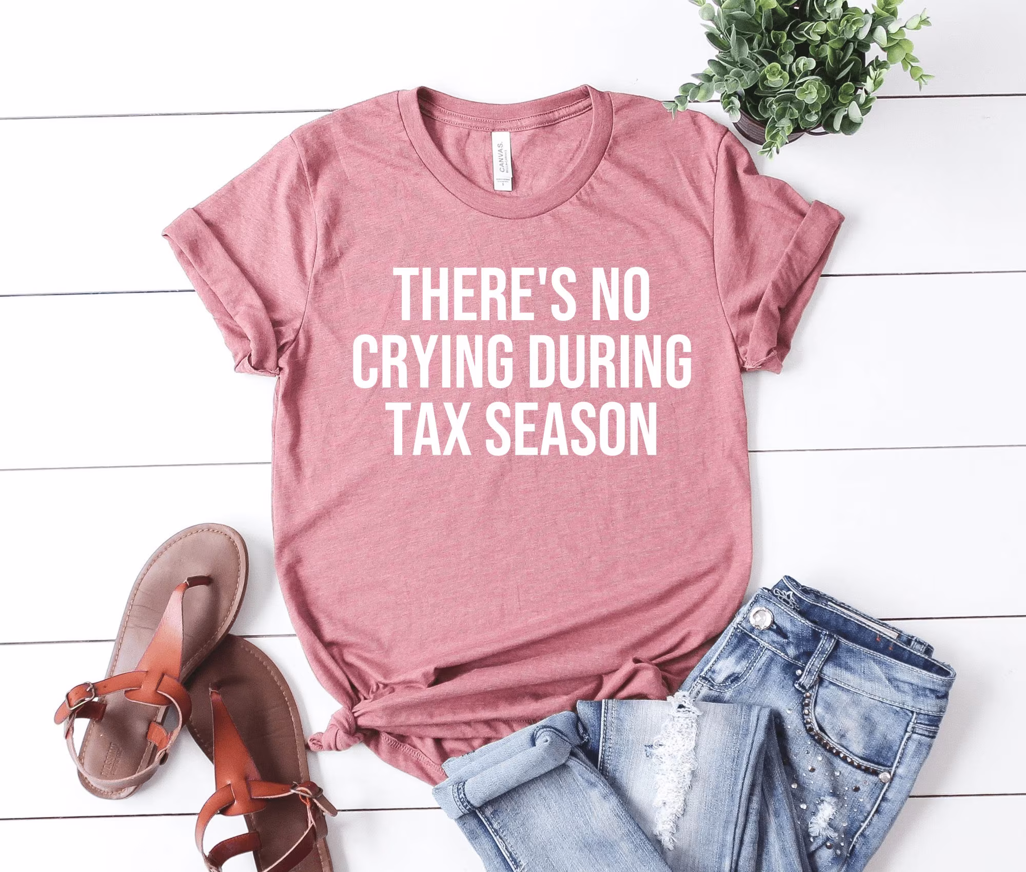 Funny Cpa Shirt Accountant Cpa Gift New Cpa For Exam No Crying During Tax Season