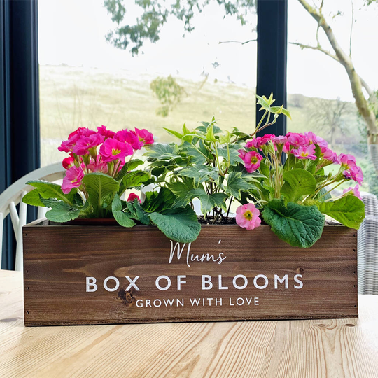 Personalised Indoor Garden Window Box