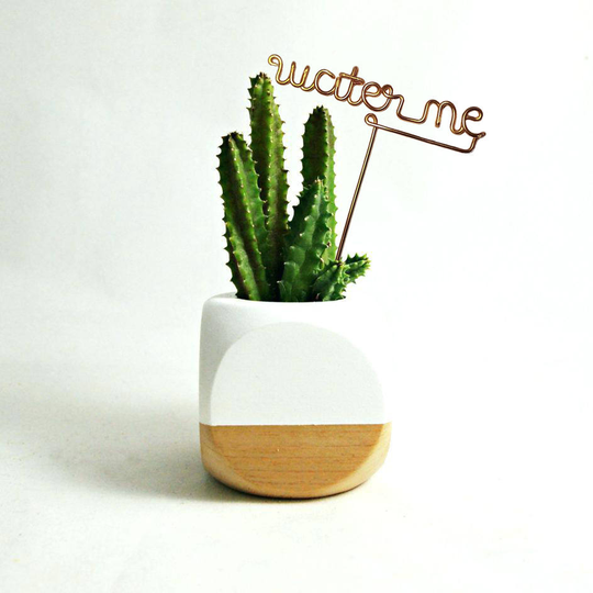 Water Me - Wire Desk Plant Markers Indoor Custom Herb Marker Garden Stakes Potted Terrarium Succulent Reusable Metal Industrial Chic