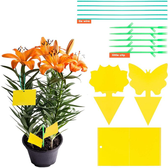 Einemgeld - 30pcs Insect Traps Sticky Traps Double-Sided Glue Stickers Waterproof Yellow Fly Catchers White Aphids for Garden Plant Flower Fruit (3
