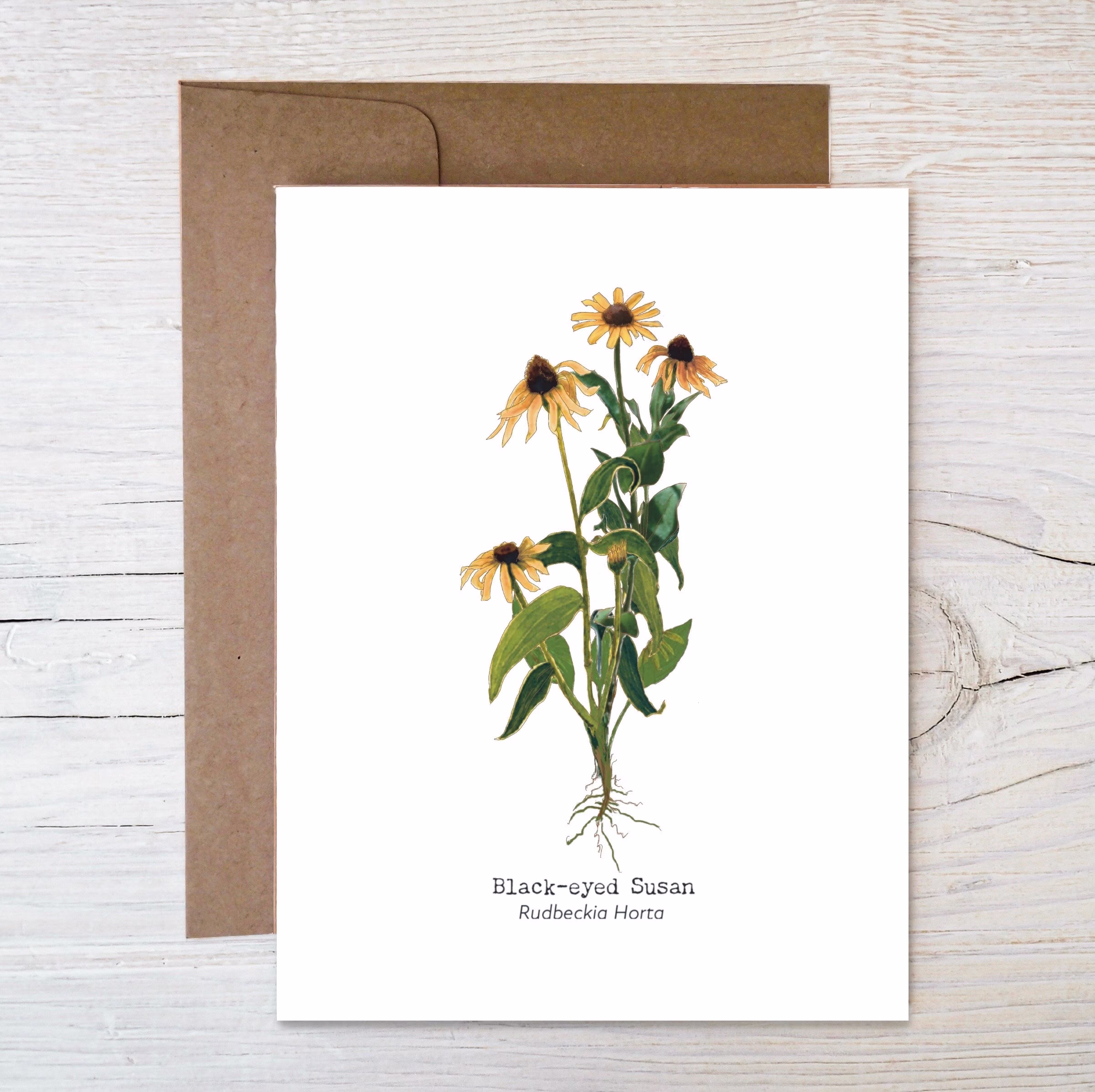 Plantable Wildflower Seed Card ~ Botanical Painted Image Of Black-Eyed Susan Eco Friendly Blank