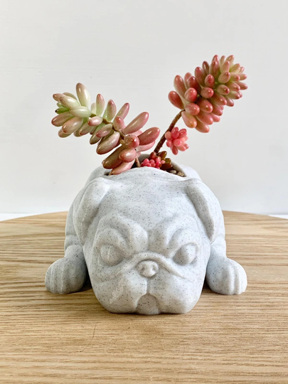 Pug Planter, Succulent Pots For Plants, Memorial, Dog Gift, Pot, Decor, Animal Cute Planter