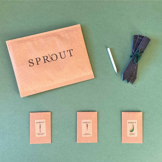 Set Of Three Grow Your Own Vegetable Seeds Gift