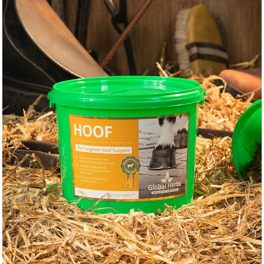 Global Herbs - Hoof - 1 Kg - SUPAHOOF1KG