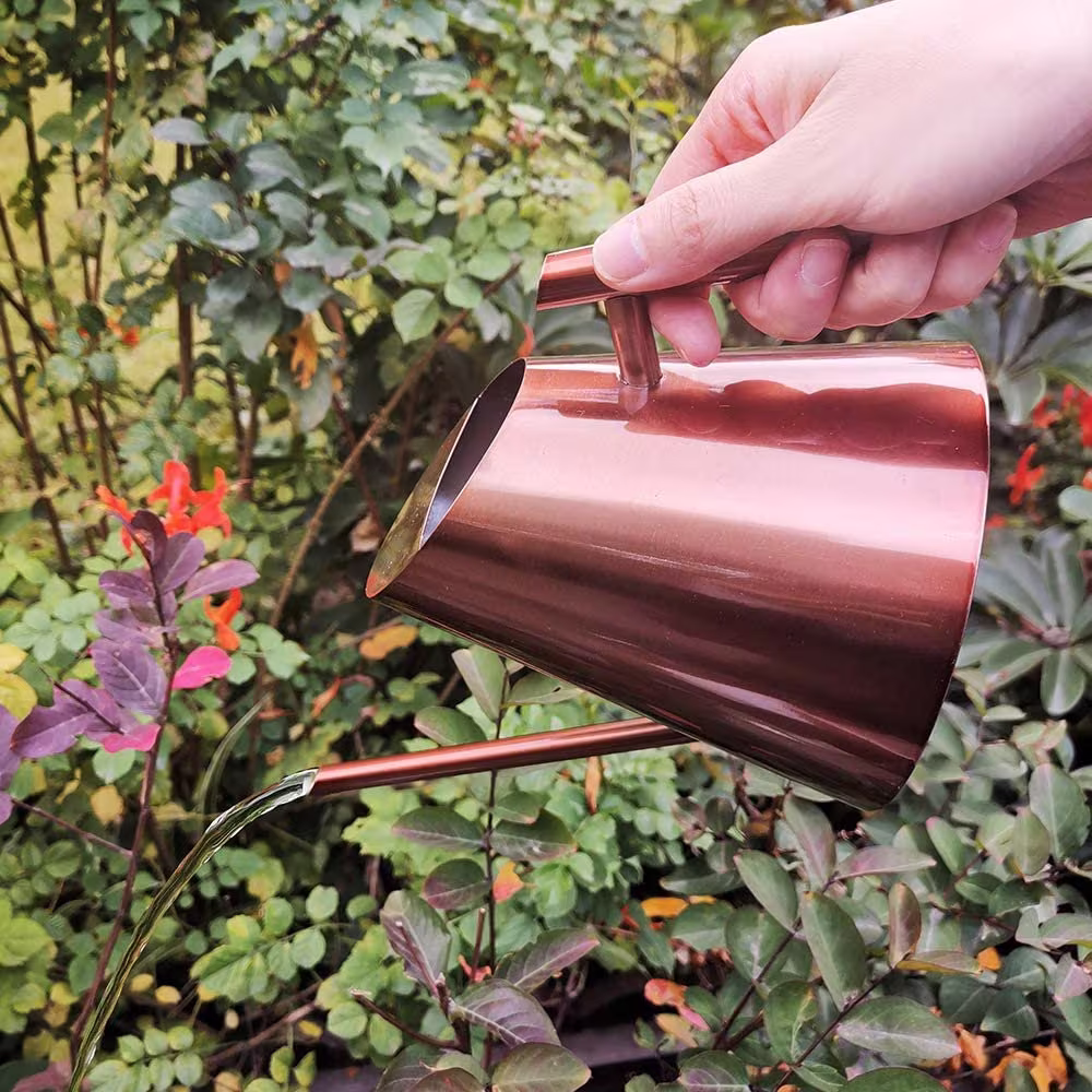 Watering Can Perfect Indoor Plants - Brass Can, Classy Copper For Flower Pots, Mini