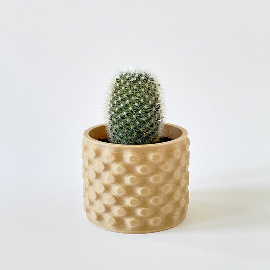 Succulent Planter "Polka