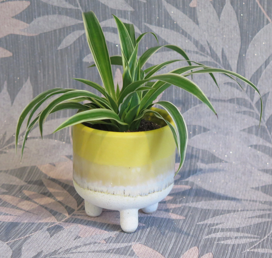 Small Yellow Ombre Indoor Or Outdoor Exotic Plant Flower Pot - Home Decor Planter