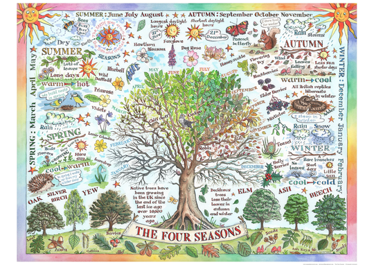 Poster Four Seasons By Amanda Loverseed Children's Picture Educational Weather Trees Nature Art Print School Gift Bedroom Illustration Facts