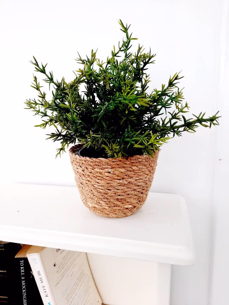 Faux Potted Thyme Plant
