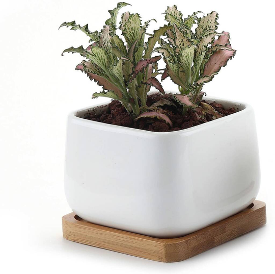 Set Of Two Ceramic Square Planters