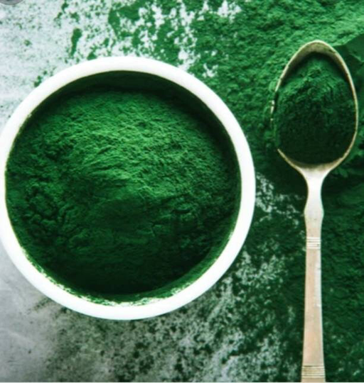 Organic Spirulina Powder For Hermit Crabs