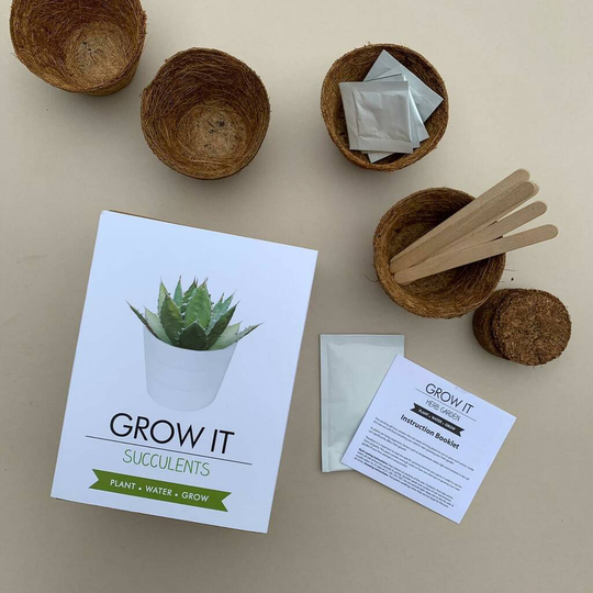 Grow It Succulents Gift Box