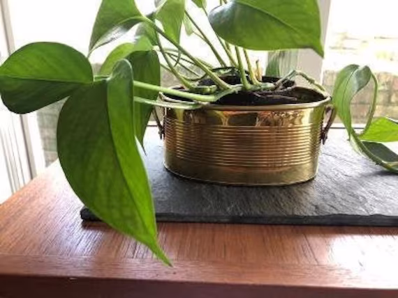 Vintage Brass Oval Planter With Handles, Ribbed Pattern, Perfect For Succulents