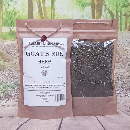 Goat's Rue Herb | Galega Officinalis L Health Embassy 100% Natural Herbal Tea