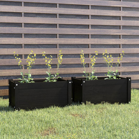 Asupermall - Garden Planters 2 pcs Black 60x31x31 cm Solid Pinewood