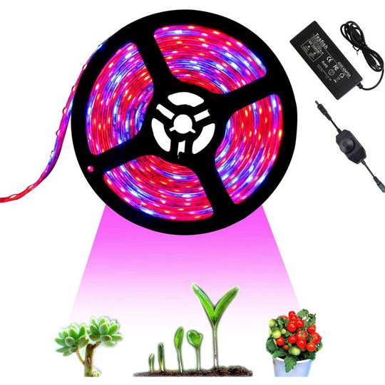 12V LED Plant Grow Light, 5M with Power Adapter and Dimmer Plant Growth Light Full Spectrum SMD 5050 Red Blue 4: 1 for Indoor Plants Hydroponic Plant