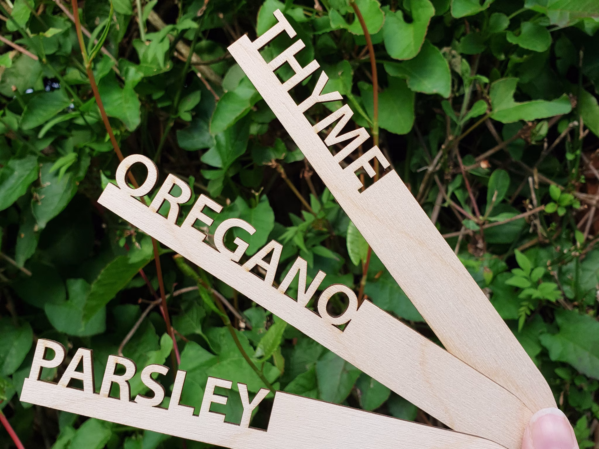 Wooden Plant Markers For Beautiful Garden Organising, Easily Find Planted Seeds, Bulbs Etc, Custom Named Garden Stakes