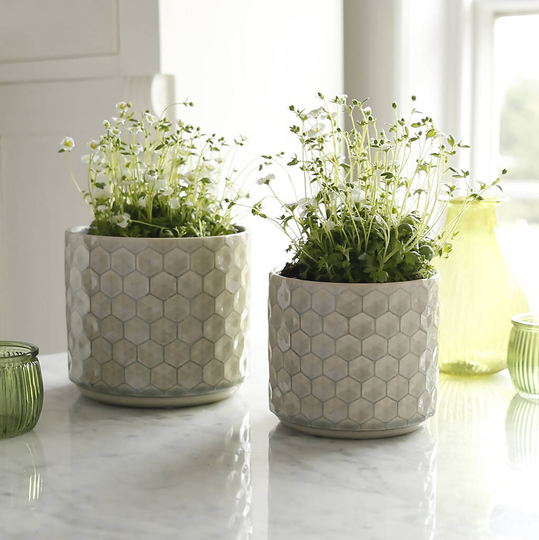 Grey Hive Glazed Pot