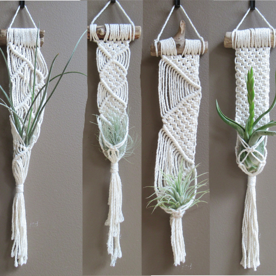 Macrame Drift Wood Air Plant Holder/Hanger - Tillandsia