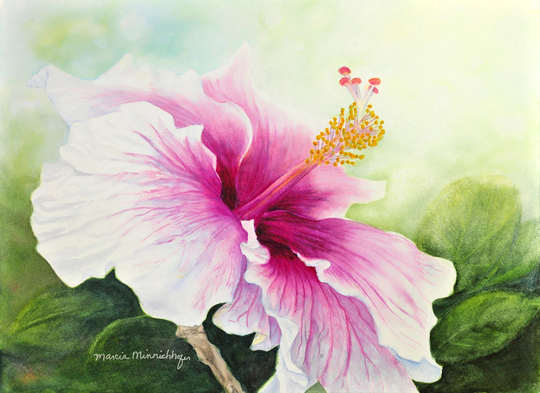 Hibiscus Painting 18x24 Art Print