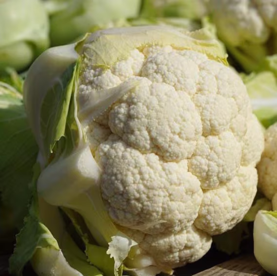 Super Early Snowball Cauliflower Seed Pack - Heirloom Vegetable Seeds