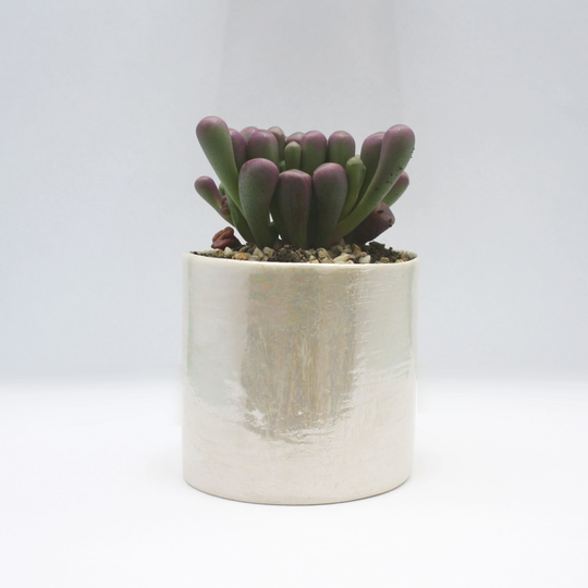 Ceramic Small Plant Pots, 30Th Wedding Anniversary, Mother Of Pearl Anniversary Gift For Parents Home Porcelain Succulent Pot