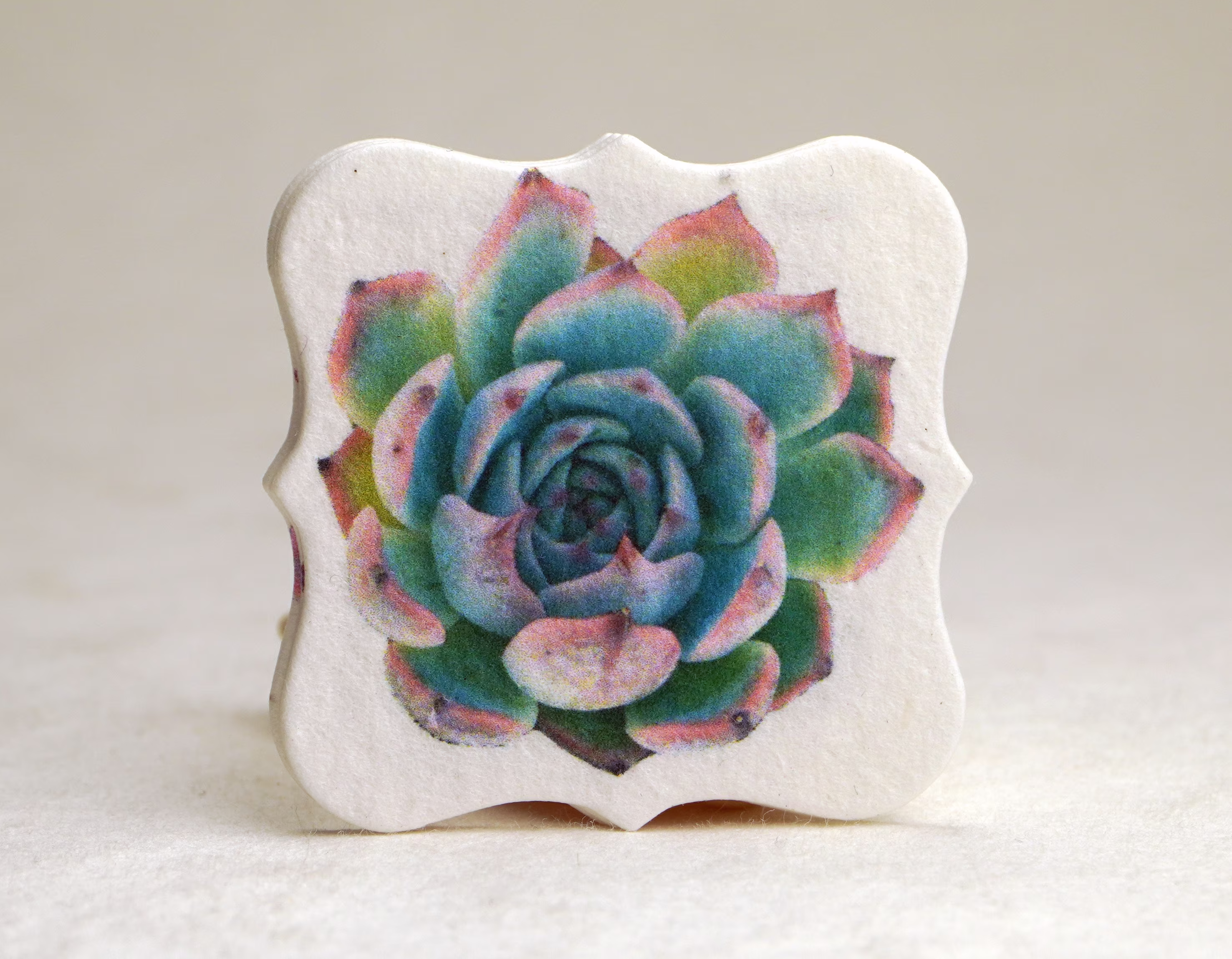 Succulent Watercolor Art | Wildflower Seed Paper Tags 1.75