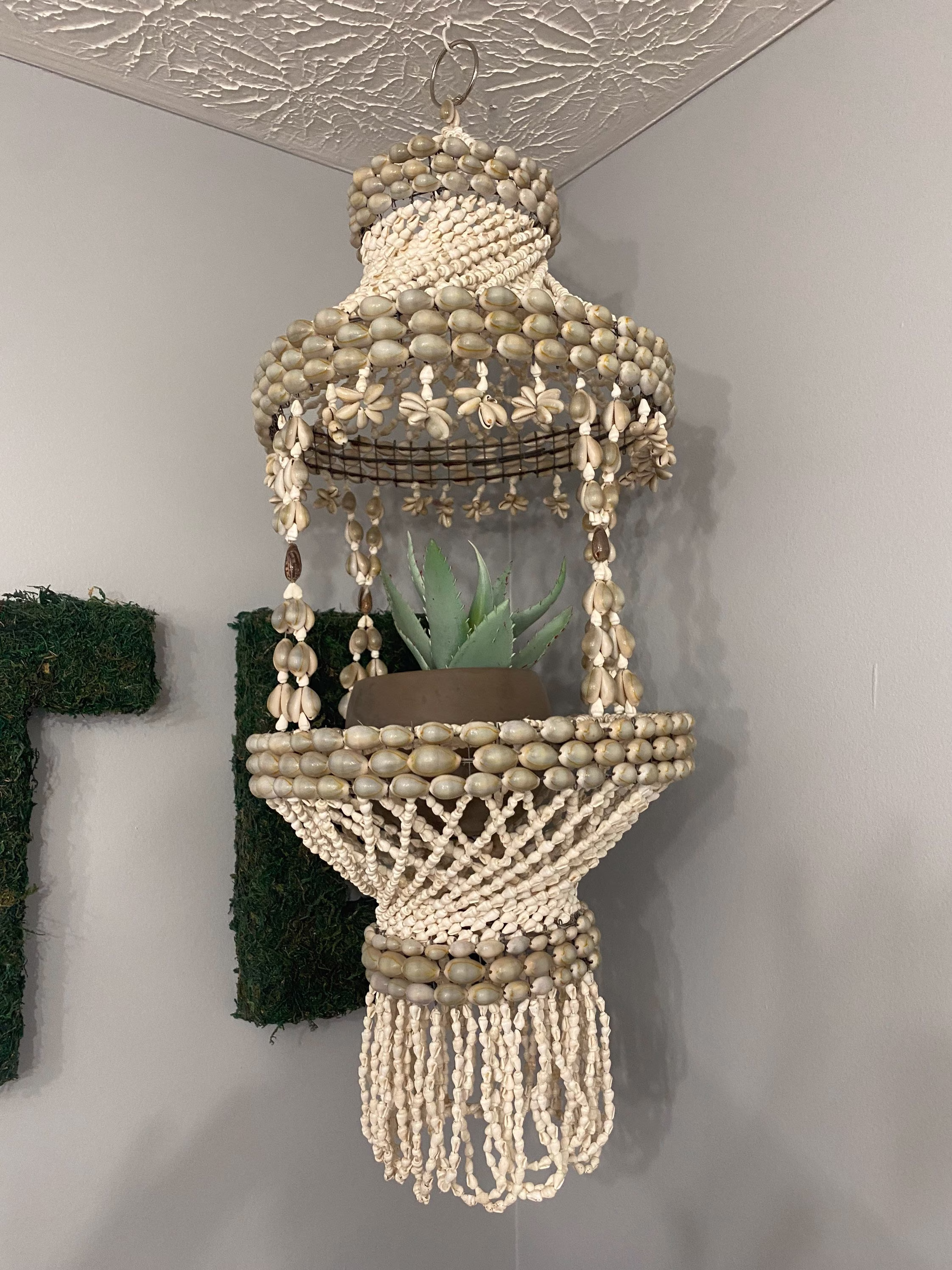 Vintage Cowrie Seashell Hanging Planter