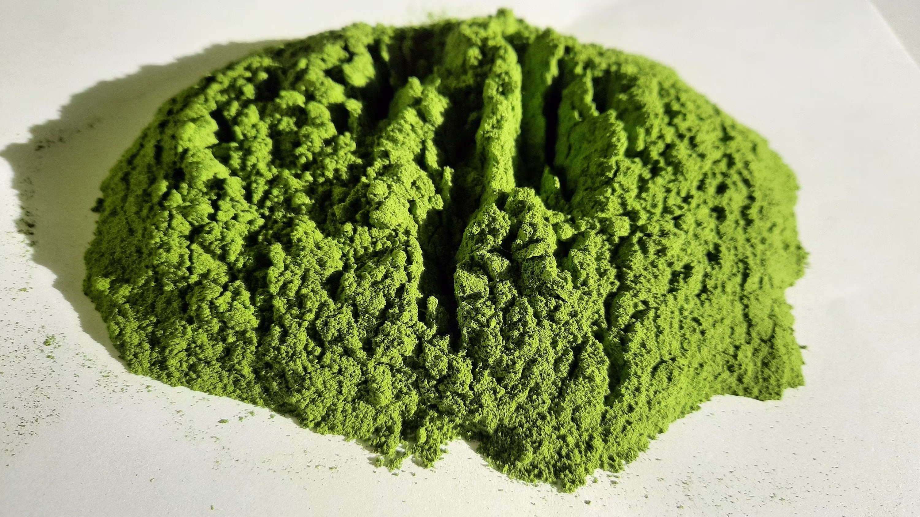 Nettle Powder - Dried Wild Supplement