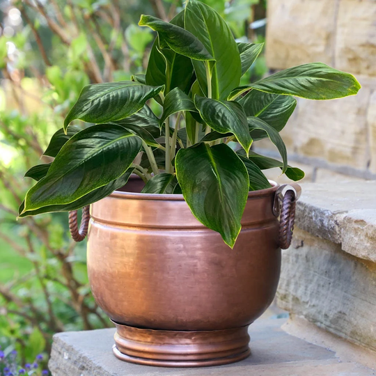 Vintage Style Copper Finish Planter Grecian Urn Footed Flower Pot Handmade Recycled Iron Jardinière Bucket Cauldron
