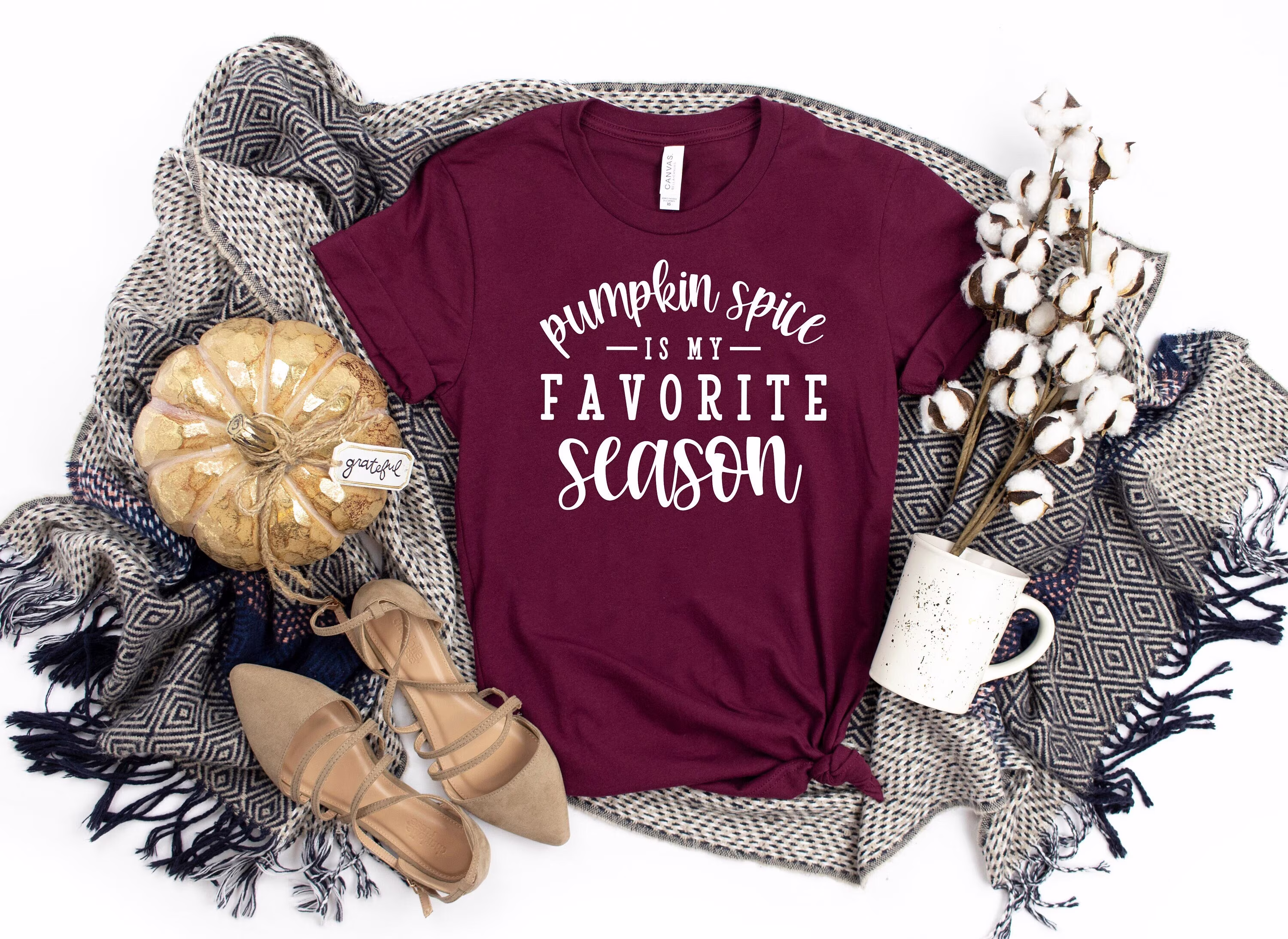 Pumpkin Spice Is My Favorite Season Shirt, Thanksgiving Shirt, Cute Fall Day T-Shirt, Pumpkin Gifts