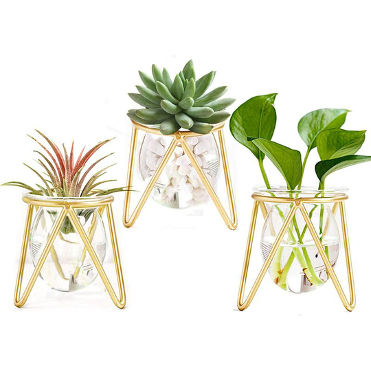 Air Plants Holders Gold Metal Décor for Home Set of 3 Mini Geometric Planter Terrariums Glass Vase Tillandsia Display Stands for Women Hydroponic