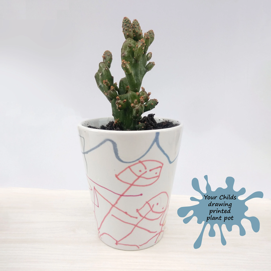 Design Your Own Plant Pot - Birthday Gift For Grandma Ceramic Indoor Childs Drawing Christmas From Kids Granny Gift