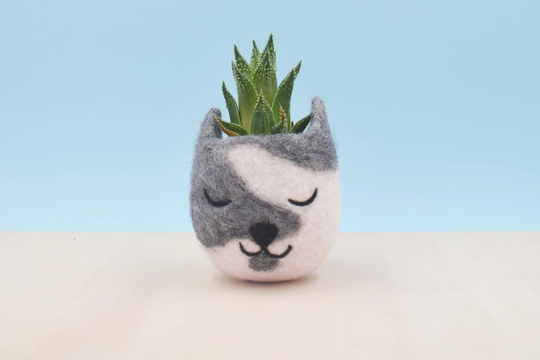 Cat Lover Gift For Her | Christmas Mom, Personalized Gift, Succulent Planter, Small Succulent Pot, Coworker Pet Parent