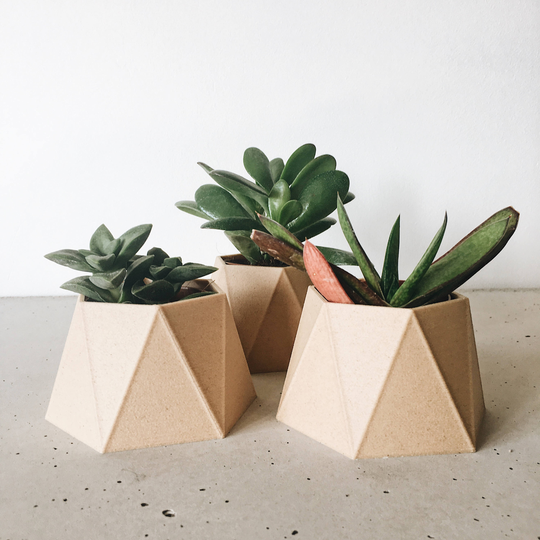 Indoor Planter Hima