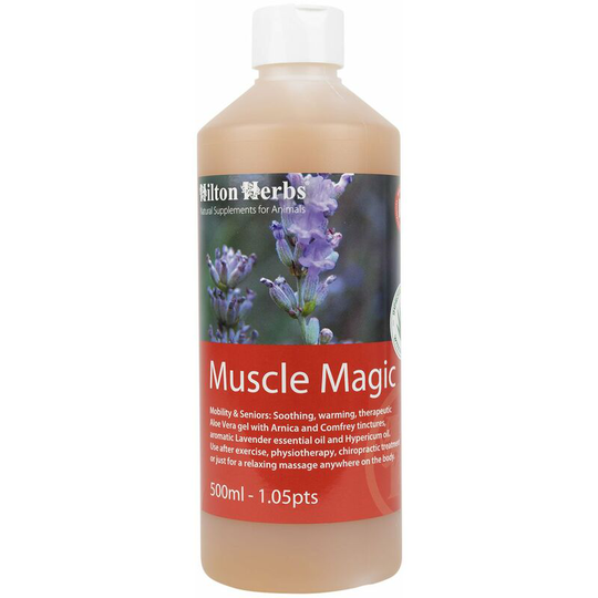 Hilton Herbs - Muscle Magic - 500 Ml - 20034