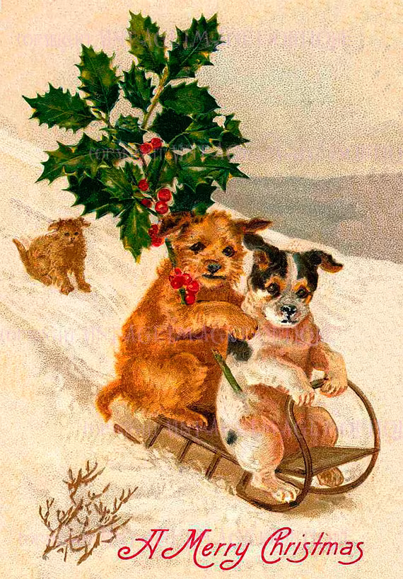 Antique Victorian Illustration Of Three Adorable Terrier Dogs Christmas Season Winter Solstice Holiday 5x7 Greeting Card