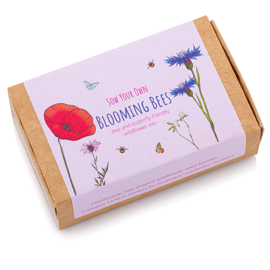 Wildflower Beeshaped For Bees And Butterflies 2x Boxes