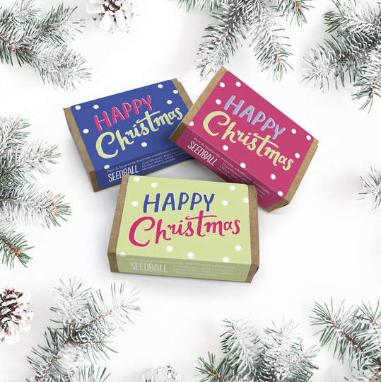 Happy Christmas Wildflower Seed Eco Stocking Fillers