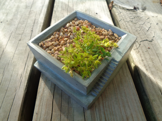 Concrete Planter - Desk Decor Container Garden Art Square Outdoor Garden Air Plant Holder