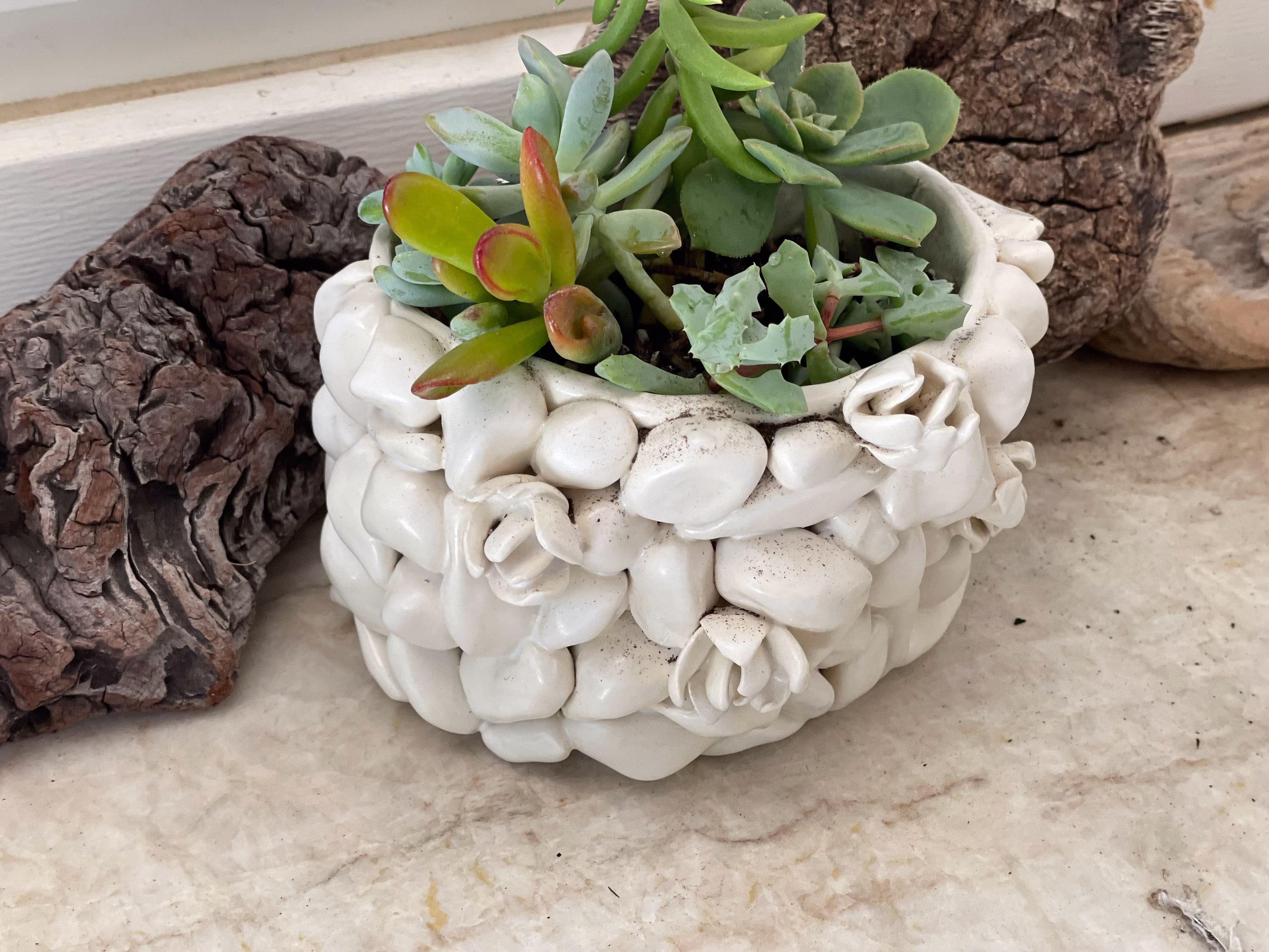 Handsculpted Succulents & Pebbles Hanging Planter