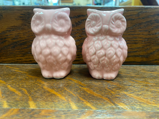 Pink Owl Salt & Pepper Shakers
