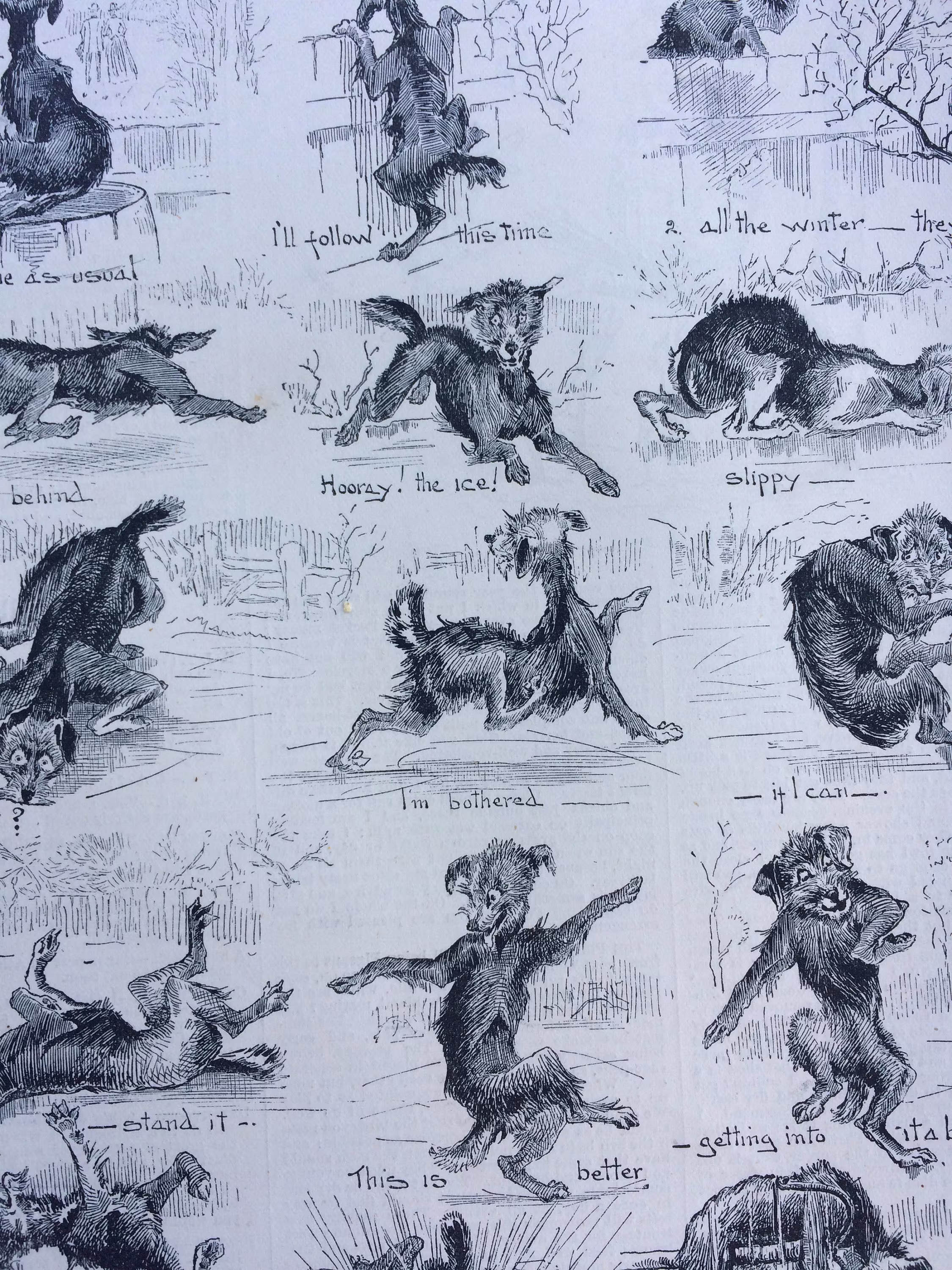 1888 The Last Ice Of The Season Original Antique Engraving Dog Print - Humorous Victorian Cartoon Canine Decor Puppy