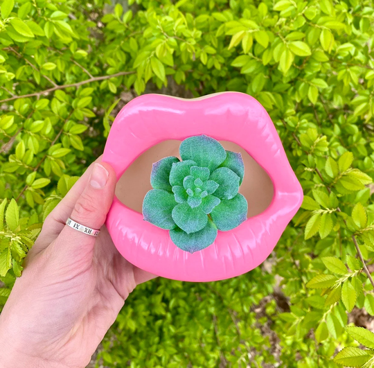 Lip Planter | Ashtray Mouth Cute Funny Plant Lady Flower Pot Christmas Gifts Succulent Plants Fun