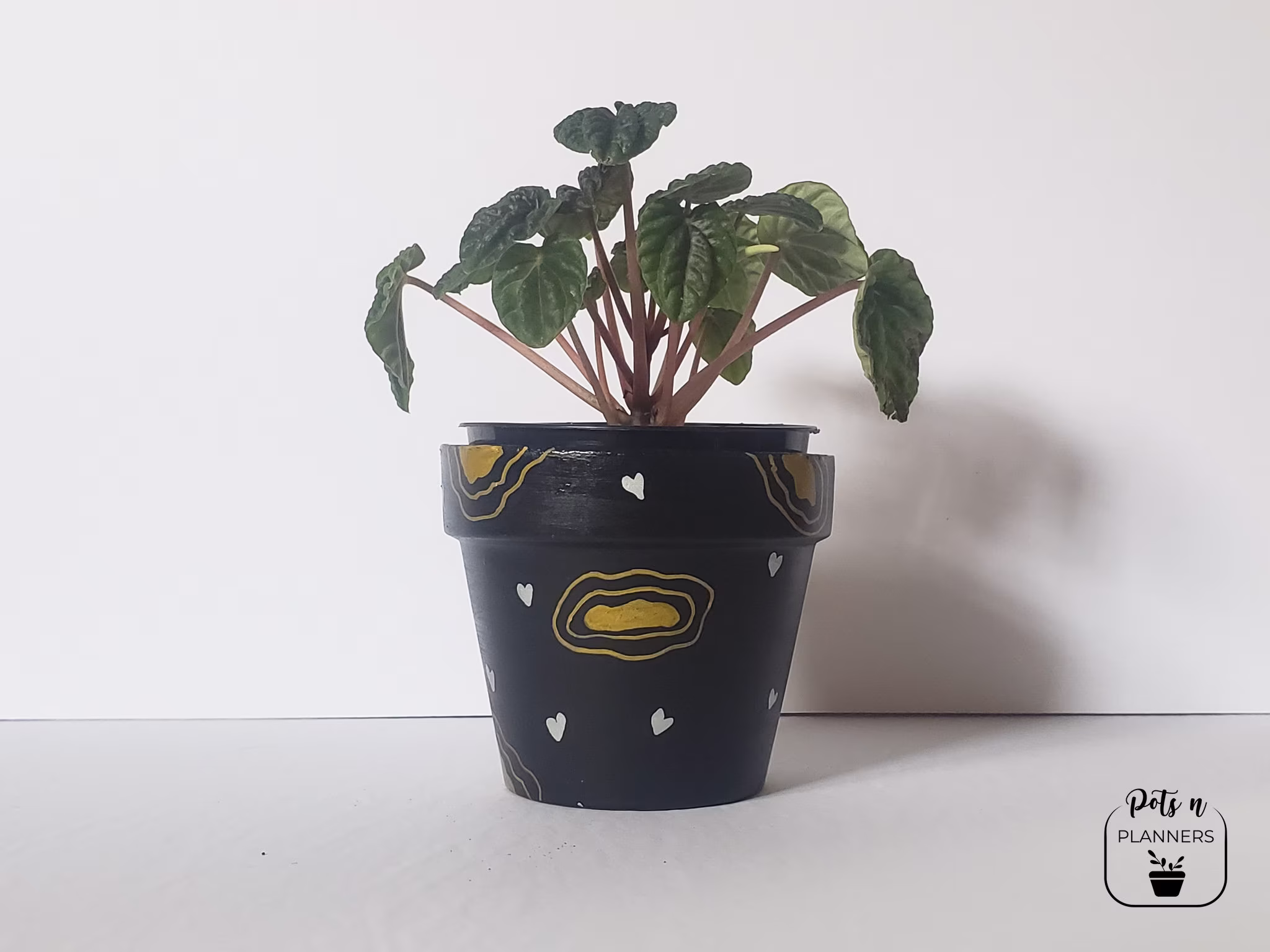 Hand Painted Planter | Succulent Pots Pot Terracotta Pots Clay Pot Black