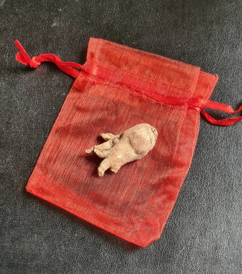 Lucky Hand Root & Bag Wild Salep Salepi, Witchcraft, Pagan, Wiccan, Witch, Luck, Protection
