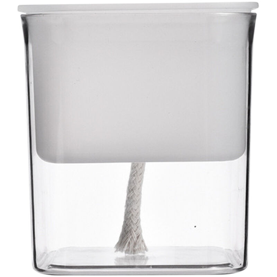 Self Watering Planter Flower Pot Transparent Decorative Indoor House Plants Planter for All Plants Herbs Succulents Flowers