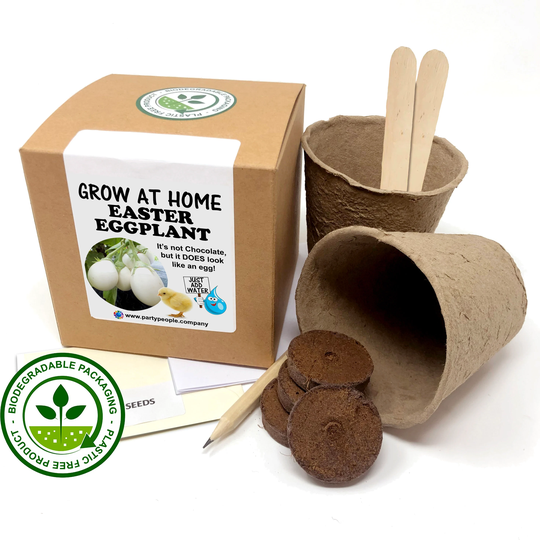 Grow Your Own Easter Egg | Eggplant Kit At Home - Ideal Birthday Gift, Great Fathers Day Gift