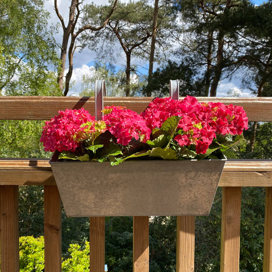 Pair Of Zesty Zinc Balcony Flower And Herb Planters