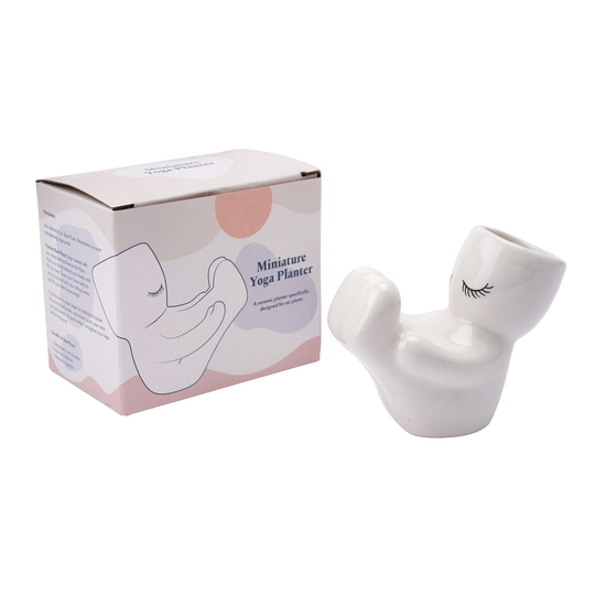 Boat Yoga Pose Mini Indoor Air Planter With Gift Box